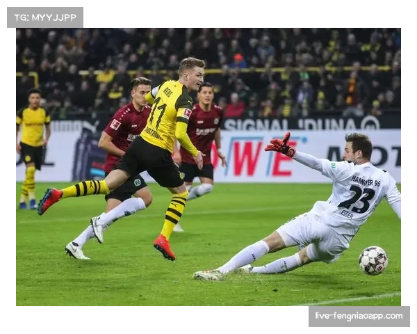 “足球与气候”倡议：德甲俱乐部联合推行“绿色比赛日”计划